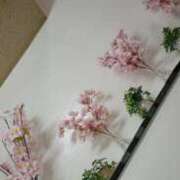 ヒメ日記 2025/03/19 23:03 投稿 みさき 11チャンネル