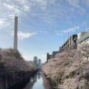 ヒメ日記 2025/04/06 14:35 投稿 みさき 11チャンネル