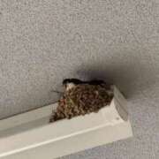 ヒメ日記 2025/05/28 10:01 投稿 みさき 11チャンネル