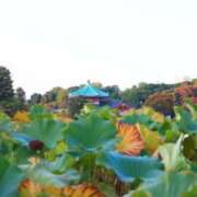 ヒメ日記 2025/07/11 23:46 投稿 みさき 11チャンネル