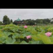 ヒメ日記 2025/07/18 11:26 投稿 みさき 11チャンネル