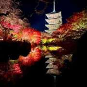 ヒメ日記 2025/12/16 19:37 投稿 みさき 11チャンネル