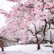 ヒメ日記 2026/02/10 22:24 投稿 みさき 11チャンネル