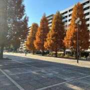 ヒメ日記 2025/12/02 11:24 投稿 滝川 ねおん マーベリック横浜