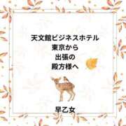 早乙女 東京から出張の殿方様へ　天文館ビジホ 人妻エステ