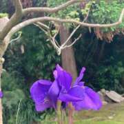 市来 ささやかなお気持ち 人妻エステ