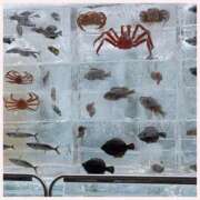 ヒメ日記 2025/02/07 18:02 投稿 岩城　りゆ ソープランド蜜 人妻・美熟女専門店