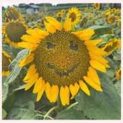 ヒメ日記 2025/07/27 09:42 投稿 岩城　りゆ ソープランド蜜 人妻・美熟女専門店