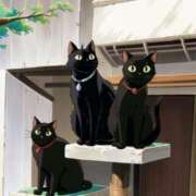 ヒメ日記 2024/12/20 10:39 投稿 立花りょうこ 熟女パラダイス岐阜店（カサブランカグループ）