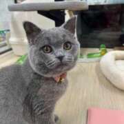 ヒメ日記 2025/02/22 16:13 投稿 立花りょうこ 熟女パラダイス岐阜店（カサブランカグループ）