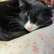 ヒメ日記 2025/08/31 10:55 投稿 立花りょうこ 熟女パラダイス岐阜店（カサブランカグループ）