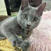 ヒメ日記 2025/09/28 10:22 投稿 立花りょうこ 熟女パラダイス岐阜店（カサブランカグループ）