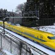 ヒメ日記 2025/12/23 18:44 投稿 立花りょうこ 熟女パラダイス岐阜店（カサブランカグループ）