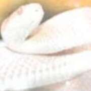 ヒメ日記 2025/12/31 12:55 投稿 立花りょうこ 熟女パラダイス岐阜店（カサブランカグループ）