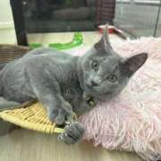 立花りょうこ こんにちは? 熟女パラダイス岐阜店（カサブランカグループ）