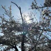 ヒメ日記 2026/04/05 10:05 投稿 立花りょうこ 熟女パラダイス岐阜店（カサブランカグループ）