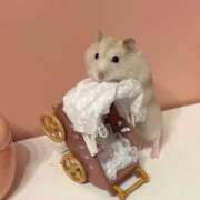 ヒメ日記 2025/03/03 07:30 投稿 れんげ MAHARAJA(マハラジャ)千葉