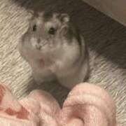 ヒメ日記 2025/11/05 11:03 投稿 れんげ MAHARAJA(マハラジャ)千葉