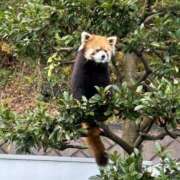 ヒメ日記 2025/03/03 13:27 投稿 みちる Sナース女学園