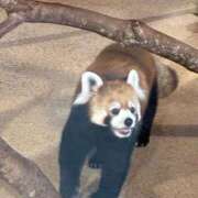 ヒメ日記 2026/01/28 12:17 投稿 みちる Sナース女学園