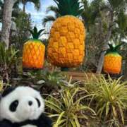 ヒメ日記 2026/03/02 21:27 投稿 みちる Sナース女学園