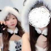 ヒメ日記 2025/11/01 15:32 投稿 ALICE GINGIRA☆TOKYO～ギンギラ東京～