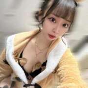 ALICE 18時からだよ全員集合‼️ GINGIRA☆TOKYO～ギンギラ東京～