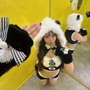 ヒメ日記 2026/02/06 18:09 投稿 ALICE GINGIRA☆TOKYO～ギンギラ東京～