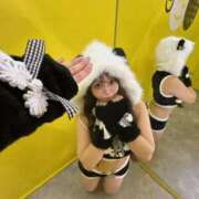 ヒメ日記 2026/04/15 06:44 投稿 ALICE GINGIRA☆TOKYO～ギンギラ東京～