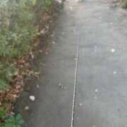 ヒメ日記 2025/01/15 18:08 投稿 みずき 川越おかあさん