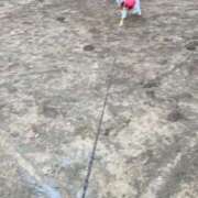 ヒメ日記 2025/02/09 19:48 投稿 みずき 川越おかあさん