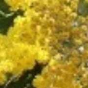 ヒメ日記 2025/03/07 09:29 投稿 みずき 川越おかあさん