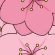 ヒメ日記 2025/03/08 22:48 投稿 みずき 川越おかあさん