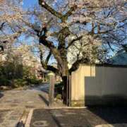 ヒメ日記 2025/04/04 11:26 投稿 みずき 川越おかあさん