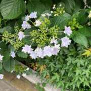 ヒメ日記 2025/05/27 08:38 投稿 みずき 川越おかあさん