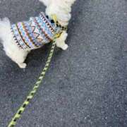 ヒメ日記 2025/12/31 16:28 投稿 みずき 川越おかあさん