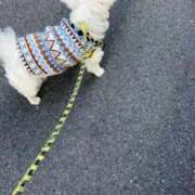 ヒメ日記 2026/01/03 08:08 投稿 みずき 川越おかあさん