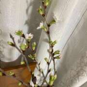 みずき おれい 川越おかあさん