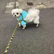 ヒメ日記 2026/01/22 10:48 投稿 みずき 川越おかあさん