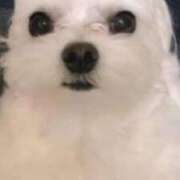 ヒメ日記 2026/02/04 09:38 投稿 みずき 川越おかあさん