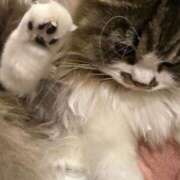 ヒメ日記 2024/12/29 09:21 投稿 東京マリン（ダ） Yシャツと私