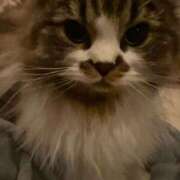 ヒメ日記 2025/01/17 21:30 投稿 東京マリン（ダ） Yシャツと私