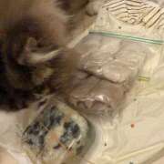 ヒメ日記 2025/02/22 12:12 投稿 東京マリン（ダ） Yシャツと私