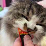 ヒメ日記 2025/03/10 15:28 投稿 東京マリン（ダ） Yシャツと私