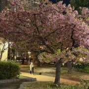 ヒメ日記 2025/03/14 19:32 投稿 東京マリン（ダ） Yシャツと私