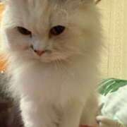 ヒメ日記 2025/05/06 07:29 投稿 東京マリン（ダ） Yシャツと私