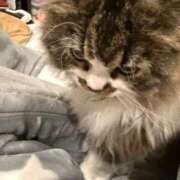 ヒメ日記 2025/05/08 21:17 投稿 東京マリン（ダ） Yシャツと私