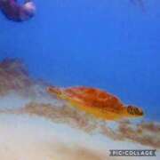 ヒメ日記 2025/05/10 10:13 投稿 東京マリン（ダ） Yシャツと私