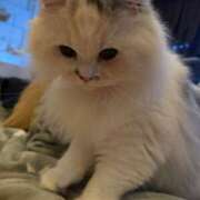 ヒメ日記 2025/05/13 08:35 投稿 東京マリン（ダ） Yシャツと私