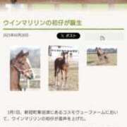 ヒメ日記 2025/05/25 15:41 投稿 東京マリン（ダ） Yシャツと私